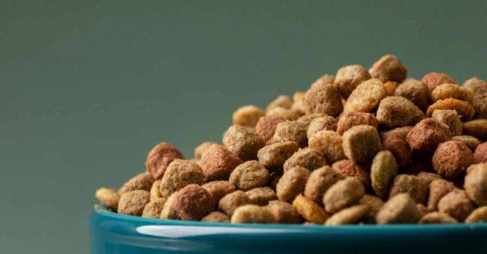 Understanding the Midwestern Pet Foods Settlement: What Pet Owners Need to Know