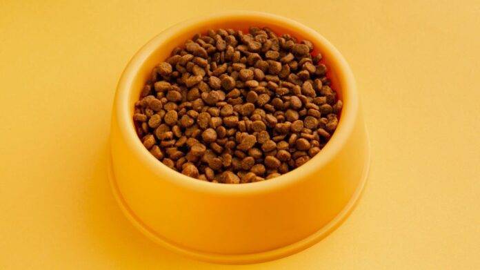 Are Lentils Good For Dogs? Yes