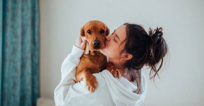 5 Ways to Take Care of Your Pet