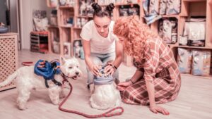 Expert Pet Care for Special Needs Pets