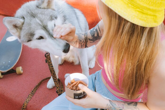 10 Best Dog Food Brands for Optimal Health